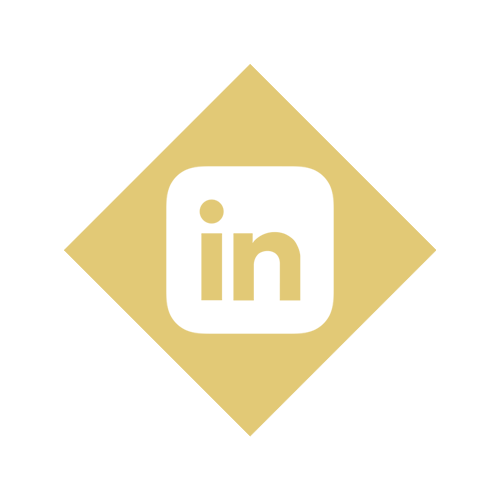linkedin icon